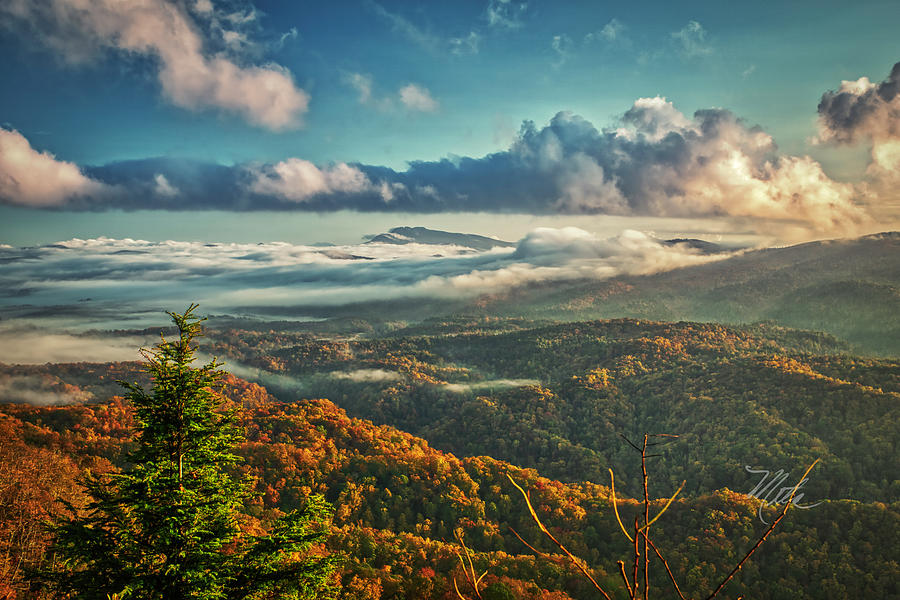 Mount Mitchell In Fall Photograph by Meta Gatschenberger