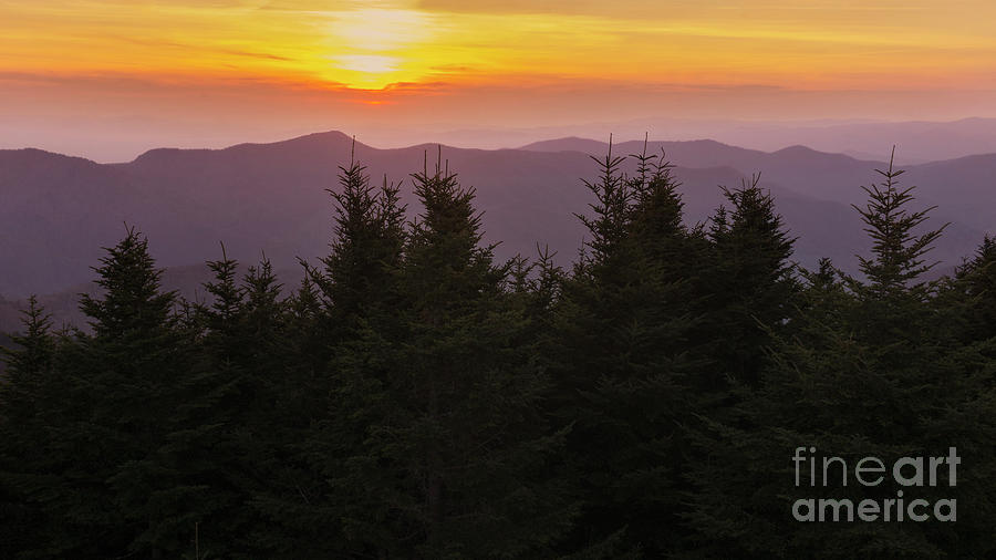 Mount Mitchell Photograph by Jonathan Welch