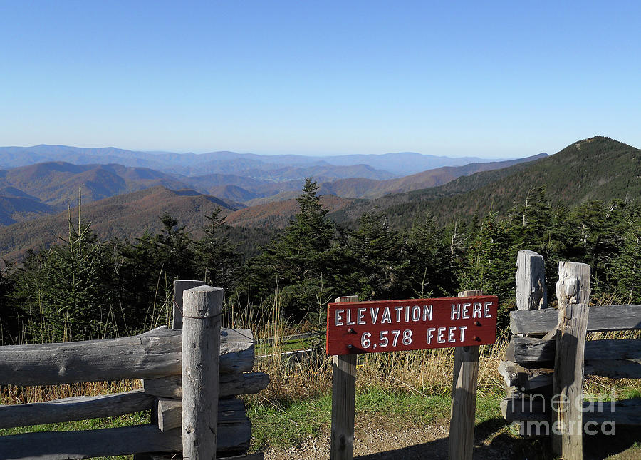 Mount Mitchell Nc 1 Photograph by Skip Willits