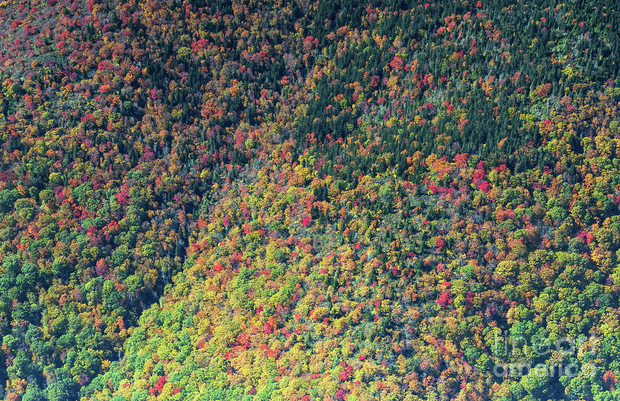 Mount Mitchell State Park Aerial View with Peak Autumn Colors Photograph by David Oppenheimer