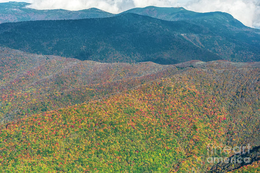 Mount Mitchell State Park in Autumn Colors Photograph by David Oppenheimer