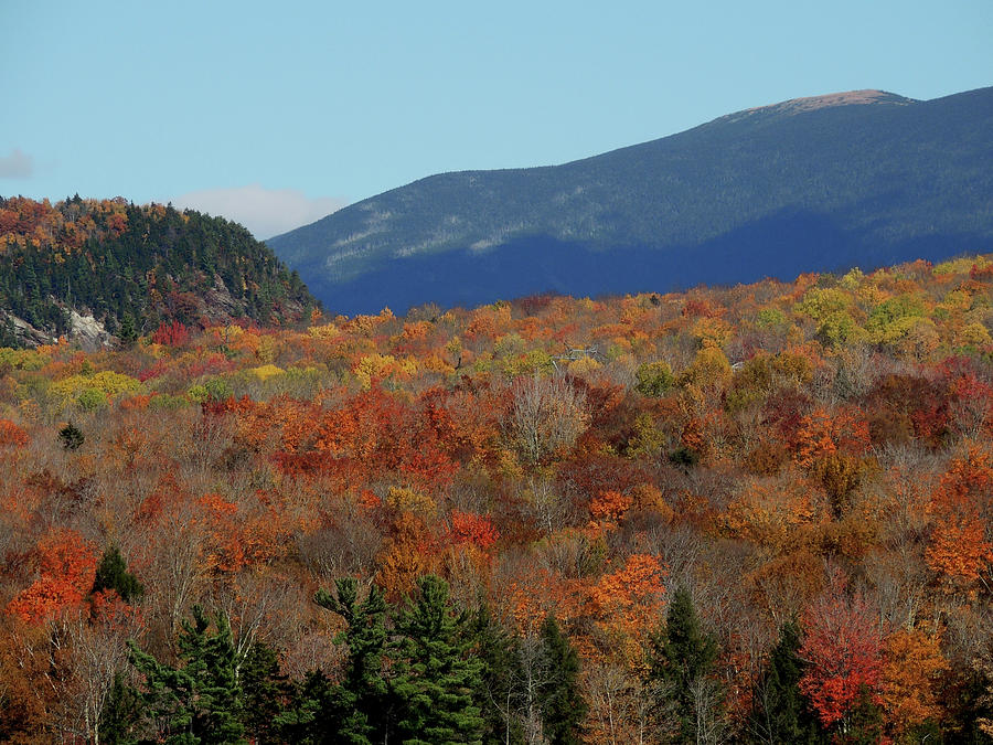 Mount Moosilauke in Autumn Photograph by Nancy Griswold