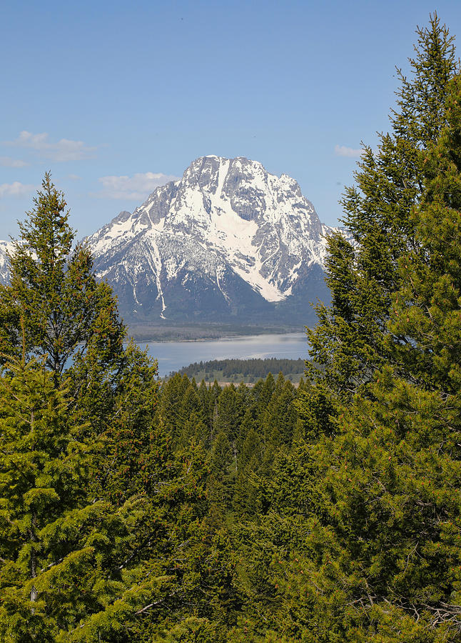 Mount Moran Framed Photograph by Dan Sproul