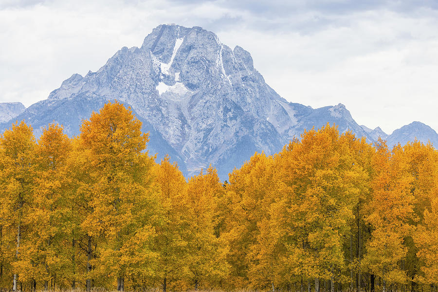 Mount Moran from Oxbow Bend, Fall 2023 Photograph by Belinda Greb