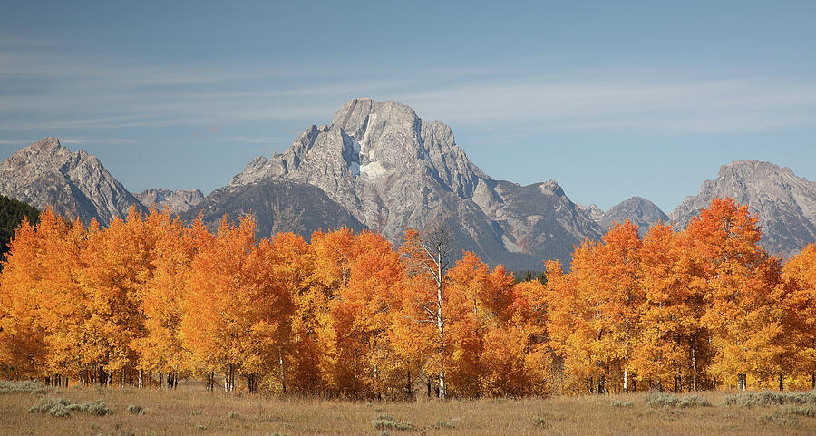 Mount Moran  GTNP Wyoming Photograph by Jean Clark