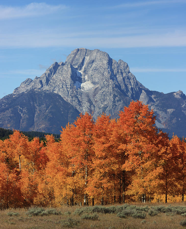 Mount Moran In Autumn Photograph by Dan Sproul