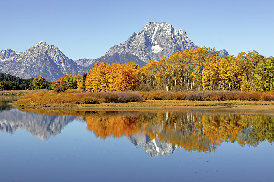 Mount Moran in Autumn Photograph by Jack Bell