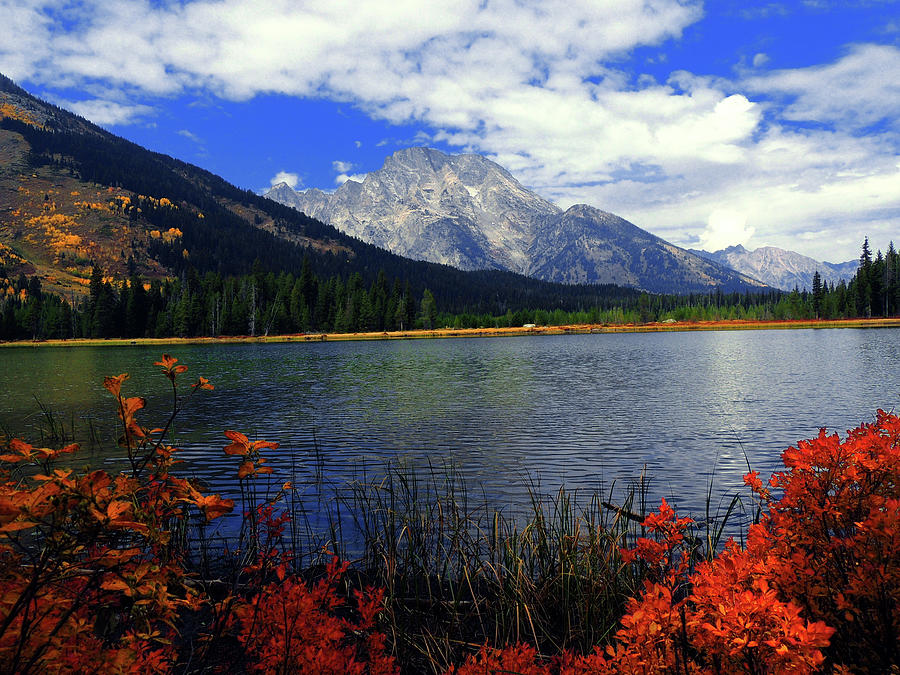 Mount Moran in the Fall Photograph by Raymond Salani III