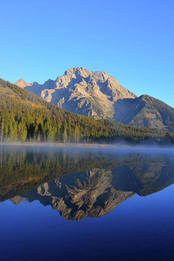 Mount Moran Mirror in String Lake Vertical Photograph by Raymond Salani III