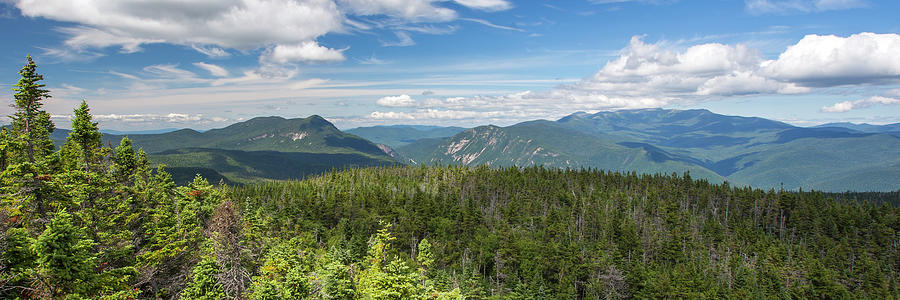 Mount Nancy Summer Views Photograph by White Mountain Images