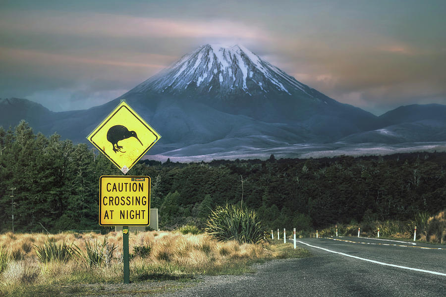 Mount Ngauruhoe - Winner Photo Competition Warning Signs Photograph by Joana Kruse