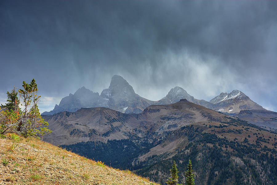 Mount Owen, The Grand, Middle, and South Tetons from Freds Mountain 2 Photograph by Raymond Salani III