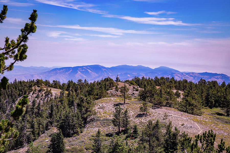 Mount Pinos, California 6 Photograph by Cindy Robinson