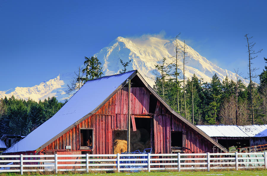 Mount Rainier and Barn Photograph by Inge Johnsson
