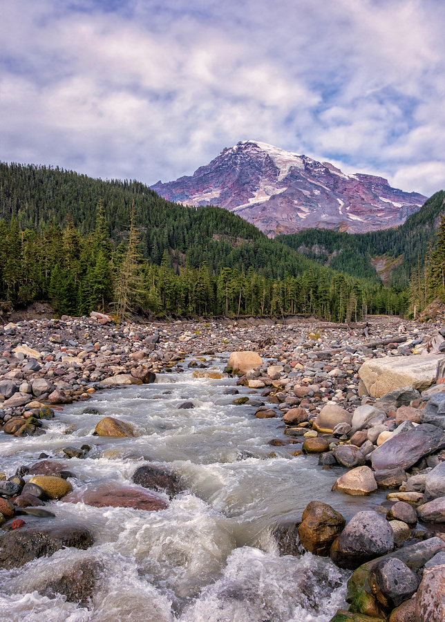 Mount Rainier and the Nisqually River Photograph by Loree Johnson