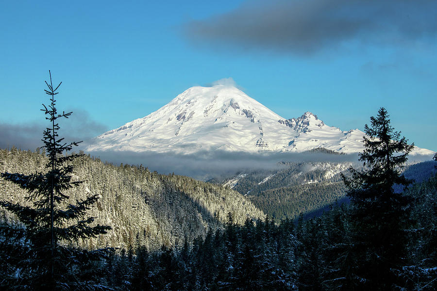 Mount Rainier appearance 2 Photograph by Lynn Hopwood