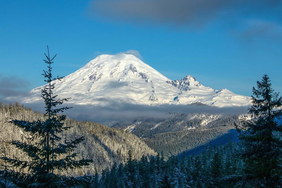 Mount Rainier appearance Photograph by Lynn Hopwood