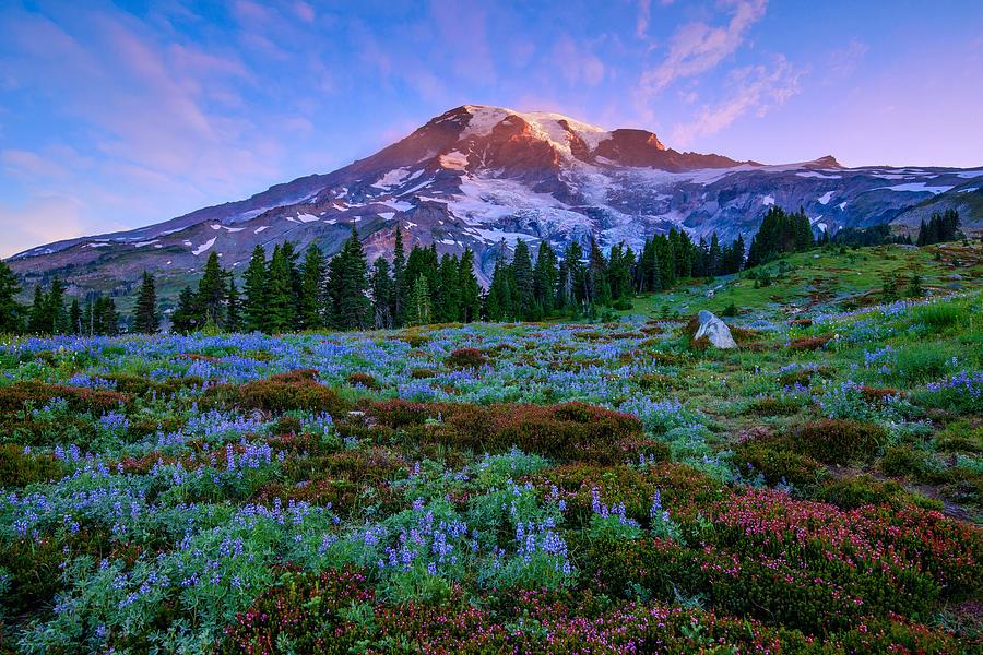 Mount Rainier Sunrise Photograph by Lynn Hopwood