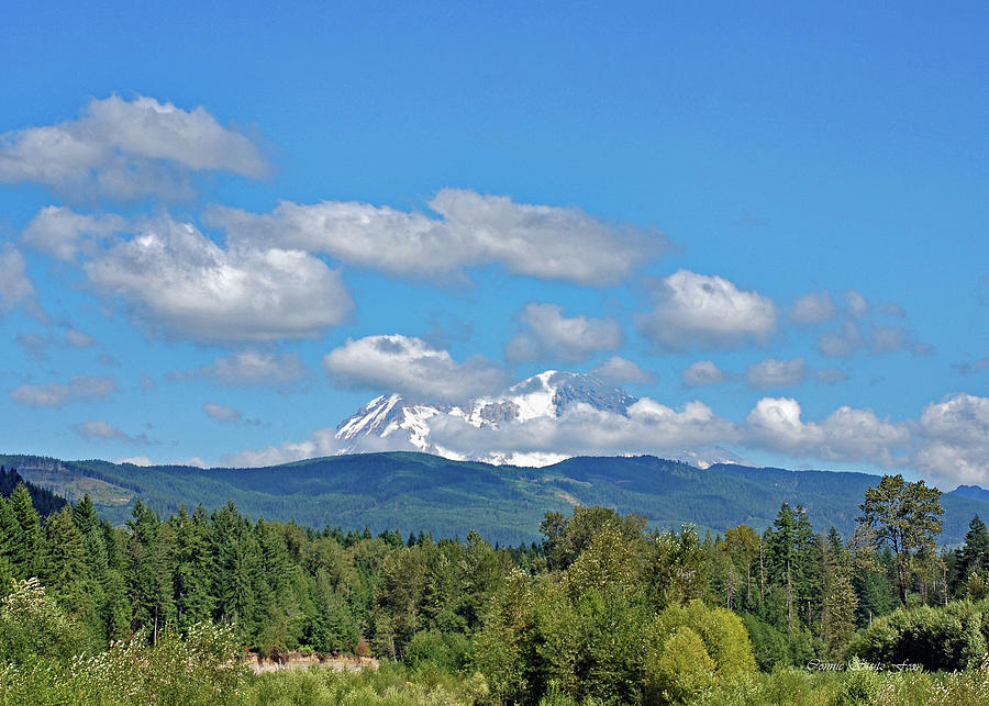 Mount Rainier as Viewed From the West Photograph by Connie Fox