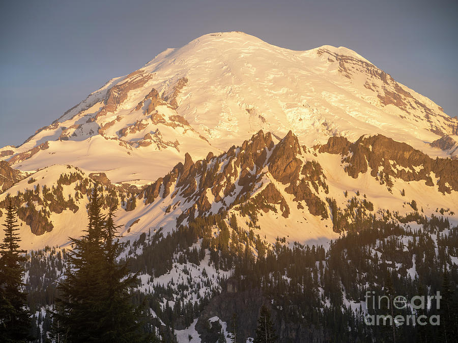 Mount Rainier At Dawn Photograph