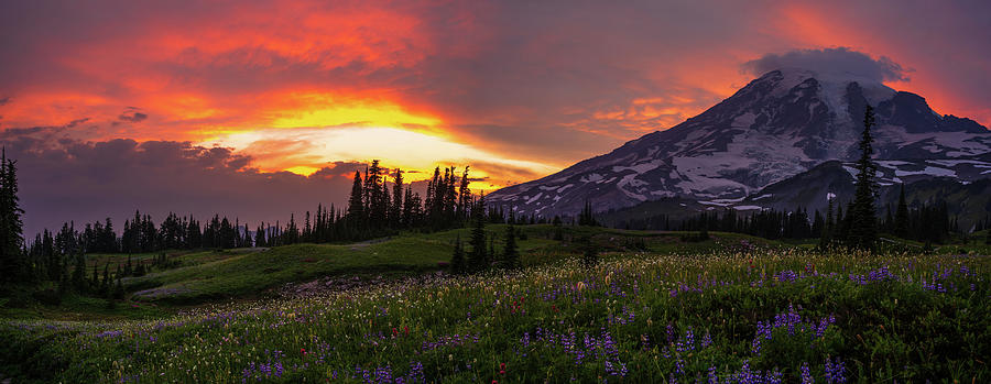 Mount Rainier Fiery Skies Wildflower Meadows Photograph by Mike Reid