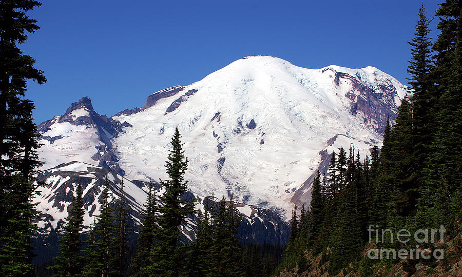 Mount Rainier From Sunrise Road - Mural Photograph by Douglas Taylor