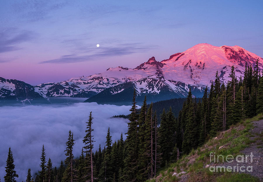 Mount Rainier Full Moon Setting at Sunrise Photograph by Mike Reid