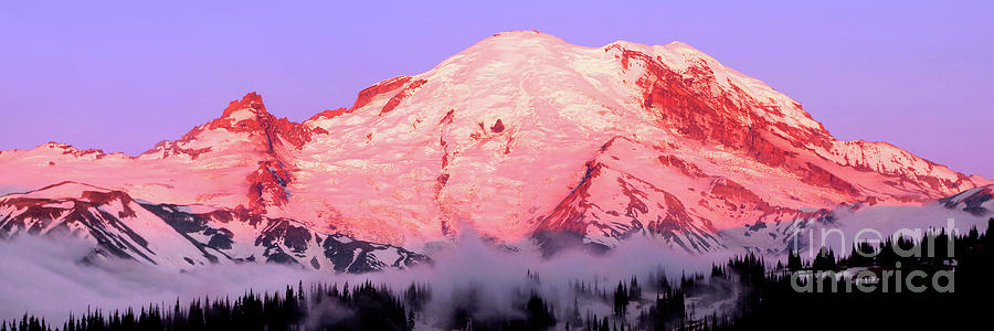 Mount Rainier In Alpenglow Panoramic Photograph by Douglas Taylor