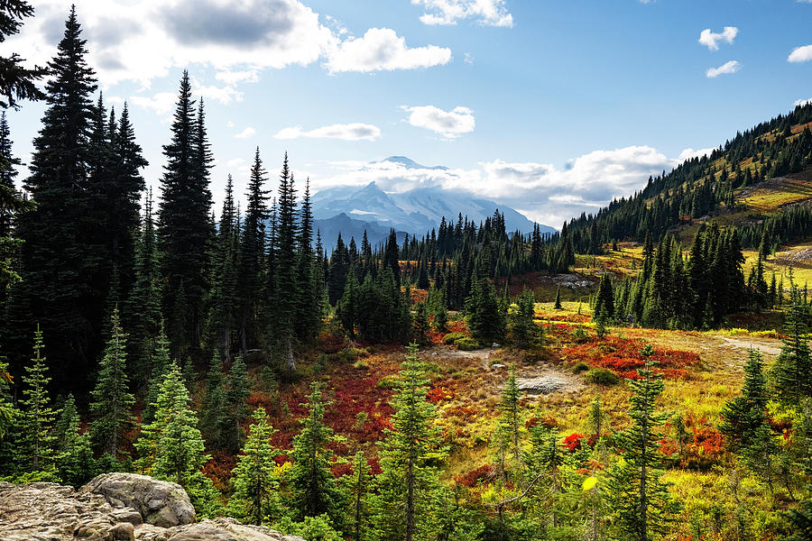 Mount Rainier in the Fall Photograph by Mary Jane Armstrong