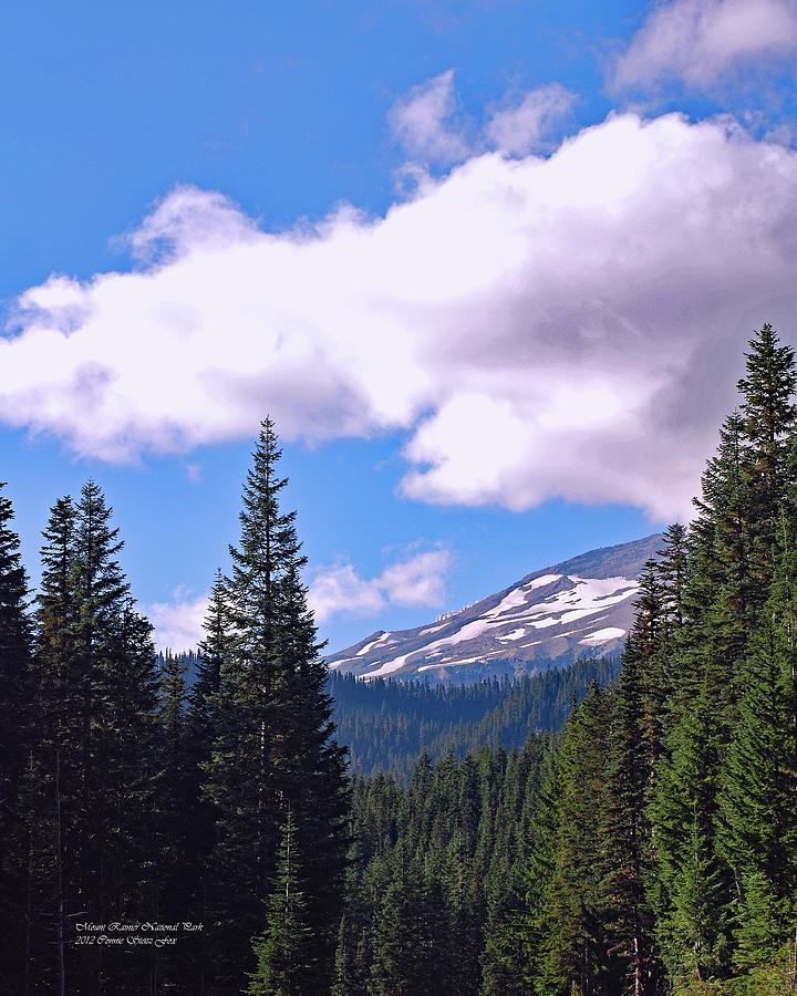 Mount Rainier National Park Photograph by Connie Fox