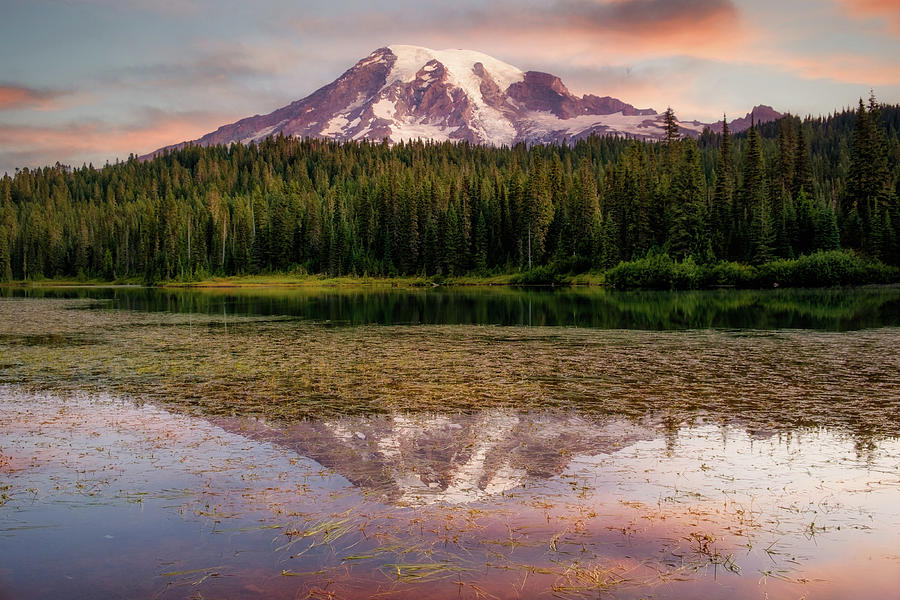 Mount Rainier Photograph by Nicole Young