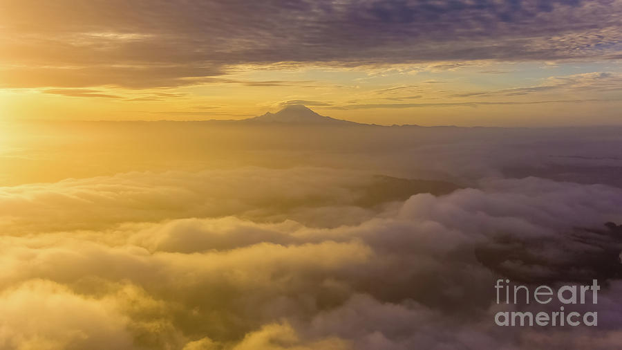 Mount Rainier On The Clouds Golden Light Photograph