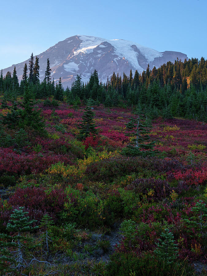 Mount Rainier National Park Photograph - Mount Rainier Paradise by Doug Ash