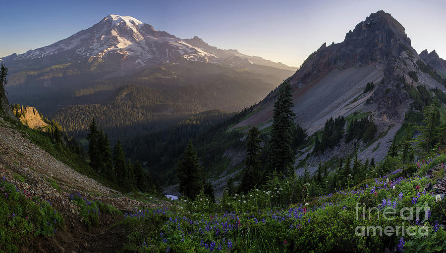 Mount Rainier Pinnacle Saddle View Photograph