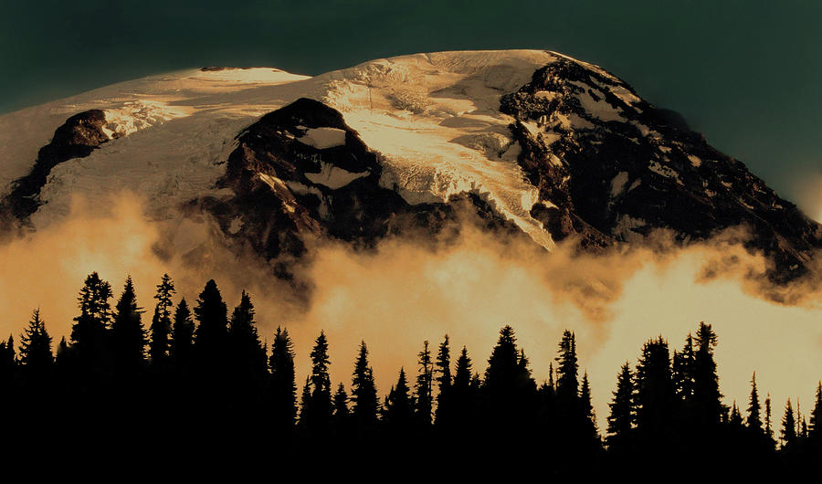 Mount Rainier Photograph by Rebecca Grzenda