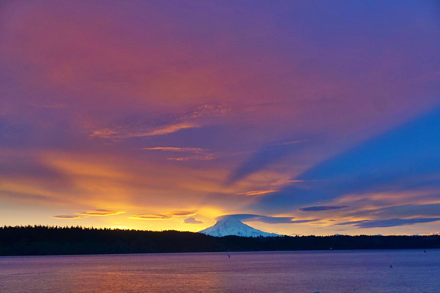 Mount Rainier Sunrise Photograph by Bill TALICH