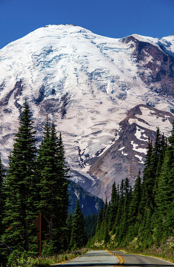 Mount Rainier Sunrise Point Photograph by Janine Harles - Fine Art America