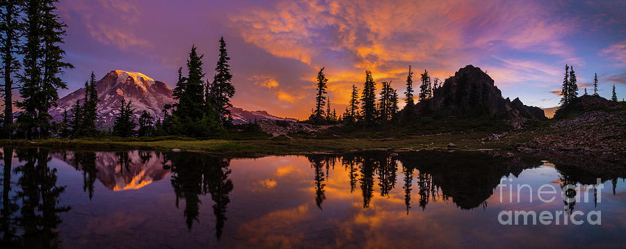 Mount Rainier Sunrise Reflection Glow Photograph by Mike Reid