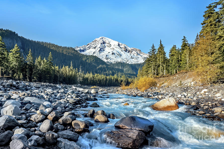Mount Rainier Photograph by Tom Watkins PVminer pixs