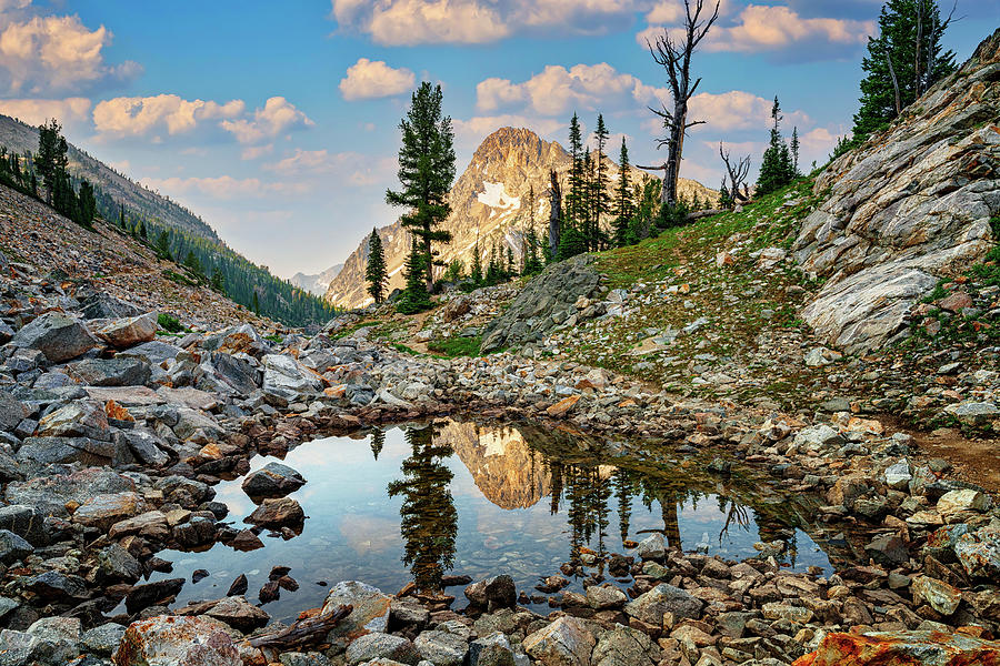 Nature Photograph - Mount Regan Reflection by Rick Berk