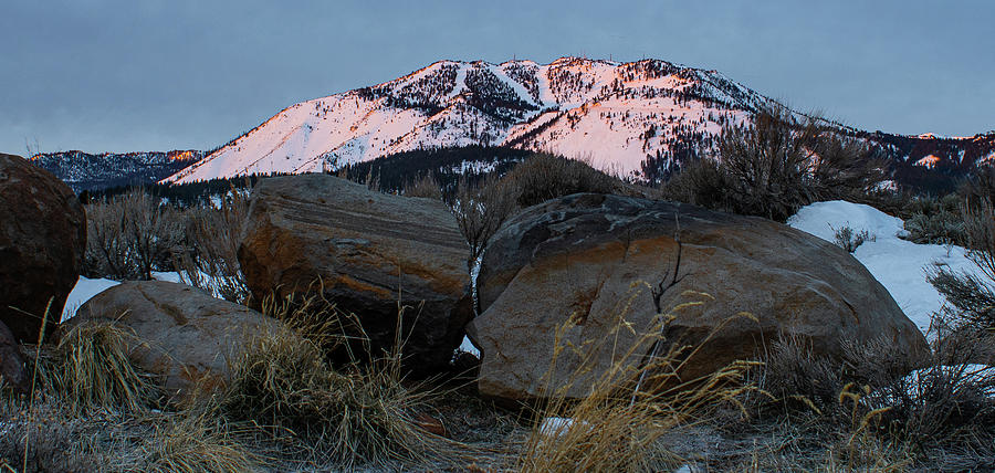 Mount Rose Alpenglow Photograph by Ron Long Ltd Photography