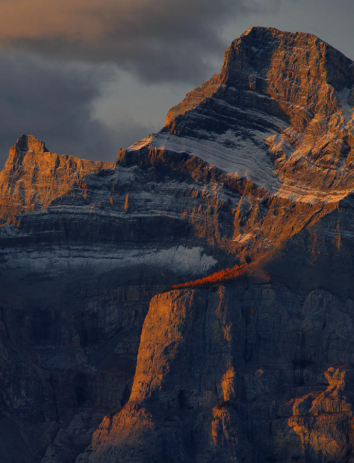 Mount Rundle At Sunrise Photograph by Stephen Vecchiotti