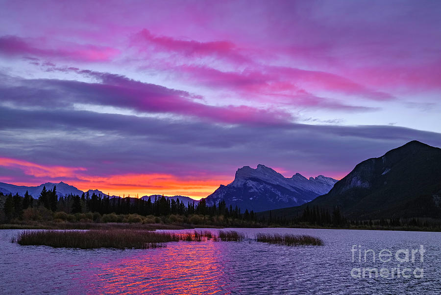 Mount Rundle dawn Photograph by Michael Wheatley