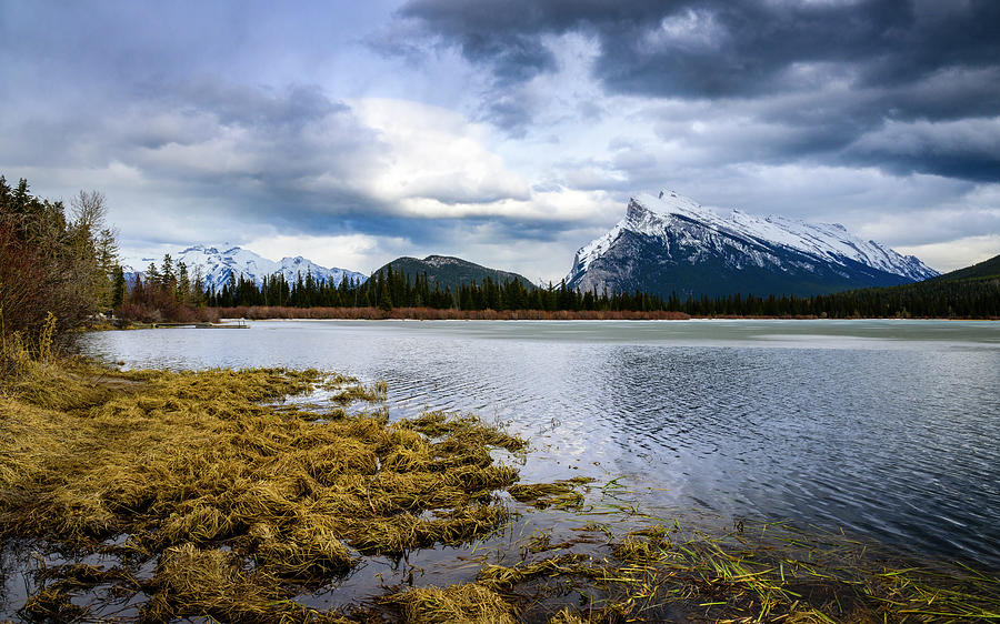 Mount Rundle Photograph by Dee Potter