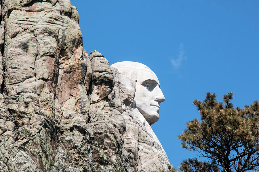 Mount Rushmore SD - U.S. National Parks - Snapshot 1  Photograph by Ronald Reid