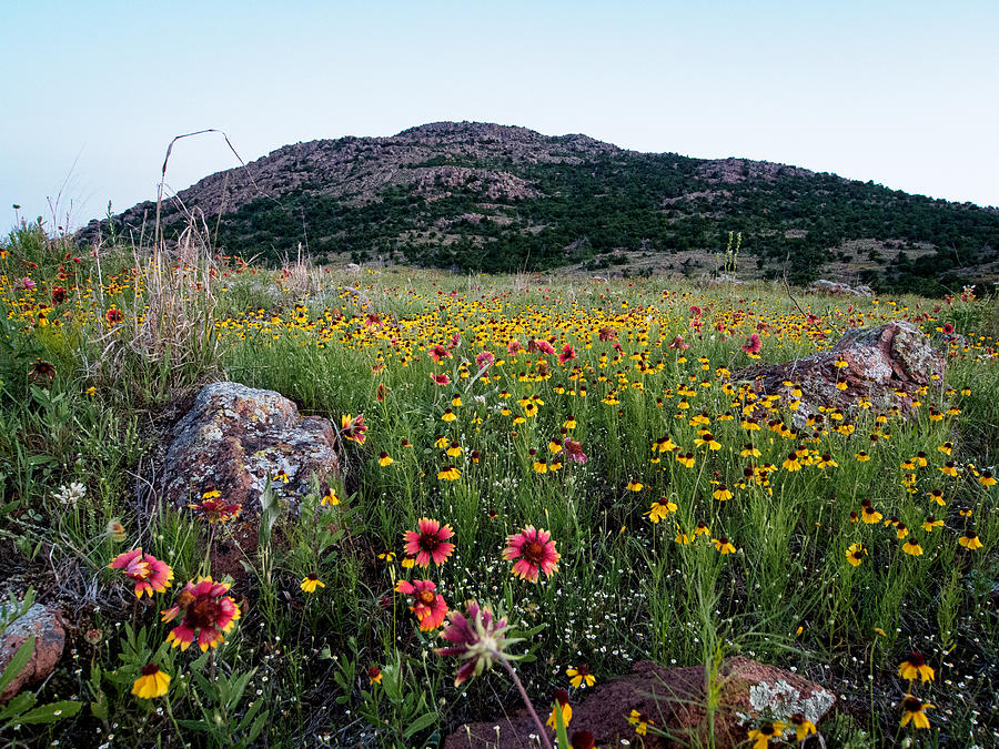 Mount Scott with Foreground Color Photograph by Buck Buchanan