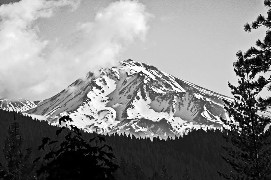 Mount Shasta Black And White Photograph