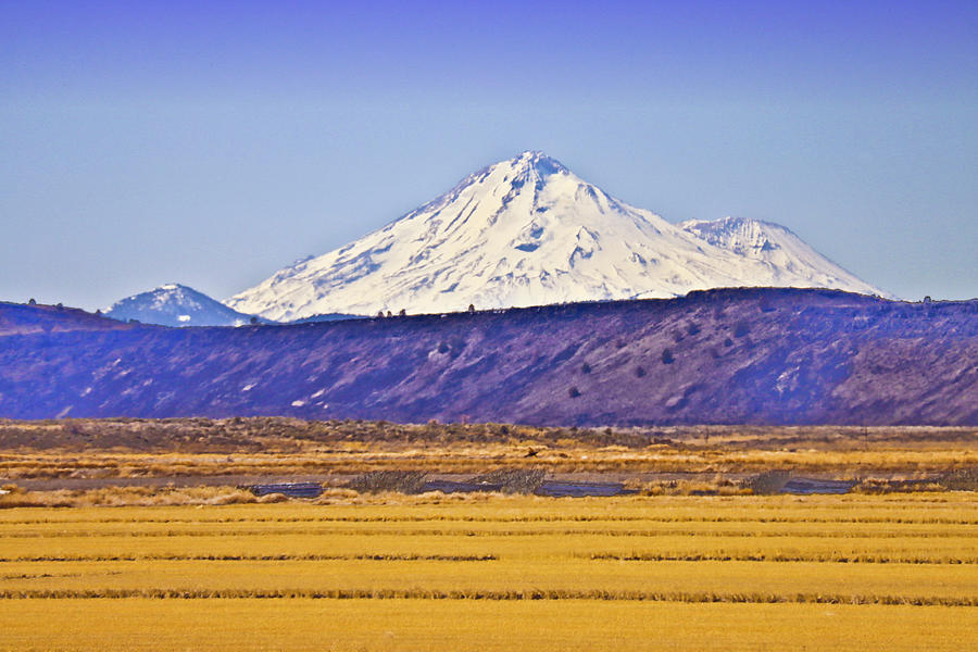 Mount Shasta from Tule Lake 3 Photograph by Joyce Dickens
