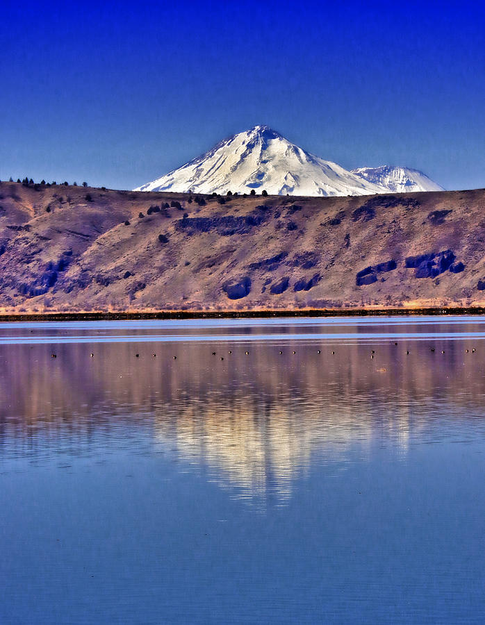 Mount Shasta From Tule Lake Photograph