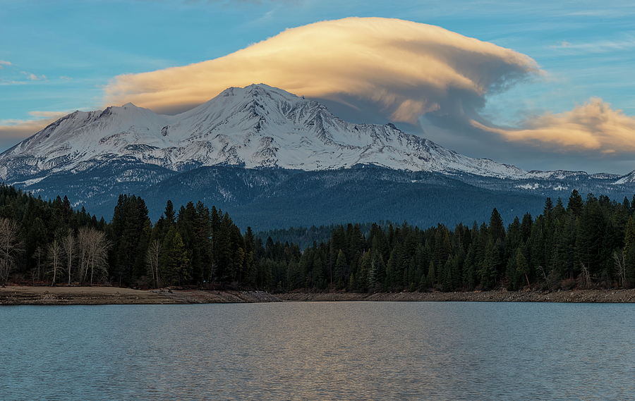 Mount Shasta Golden Lenticular Photograph by Loree Johnson